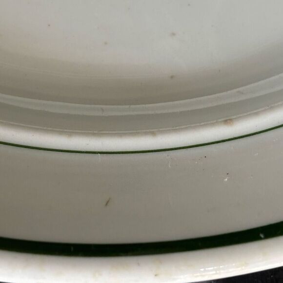 Jackson China B.P.O.E. 349 Elks Lodge DuBois Pa Sectional 10 1/2”  Plate - Picture 3 of 9